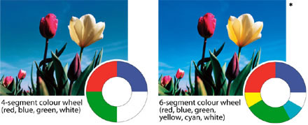 Six-Segment Colour Wheel