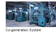 Co-generation System
